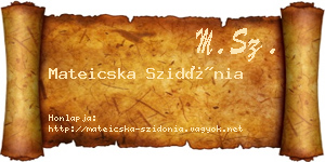 Mateicska Szidónia névjegykártya